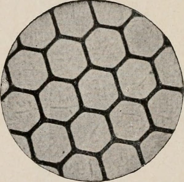 A slightly grainy image showing a circle filled with tiled hexagons. Between the grey hexagons are black lines.